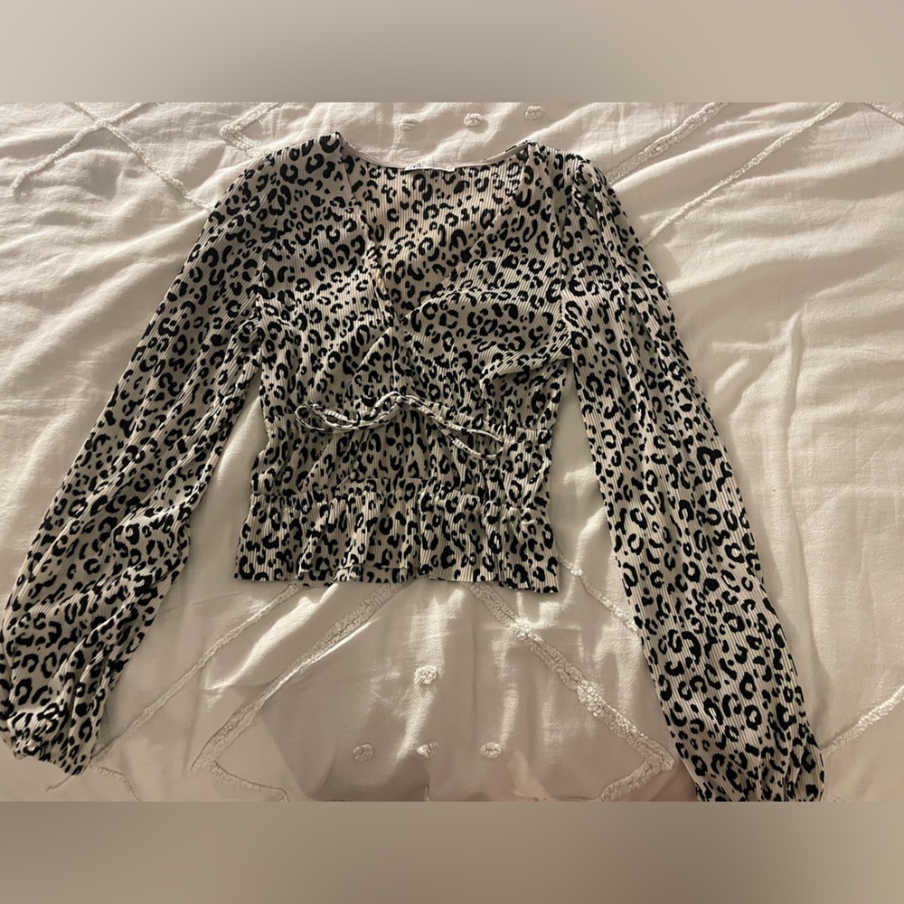 ZARA Long Sleeve Blouse